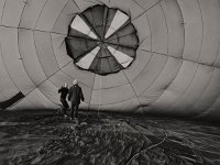 pat-montgolfiere-120979  Sans titre, 2019