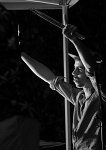 tikiparadise-59665