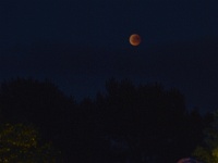 Zur Carnac-109481  Eclipse de lune