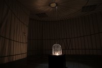 Zur_Aze-69848