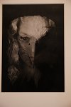 Zur_Aze-69930