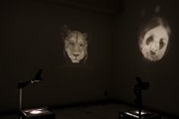 Zur_Aze-69935