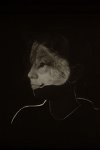 Zur_Aze-69942