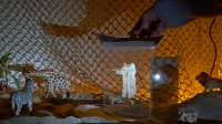 Zur_Aze-69955