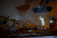 Zur_Aze-69957