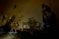 Zur_Aze-69989