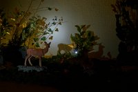 Zur_Aze-69991