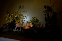 Zur_Aze-69996