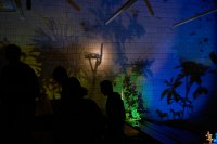 Zur_Aze-71050