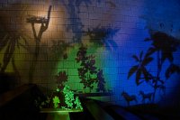 Zur_Aze-71059