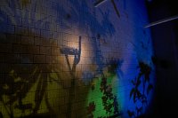 Zur_Aze-71062