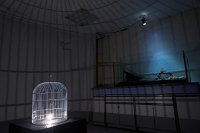Zur_Aze-71097