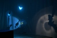 Zur_Aze-71110