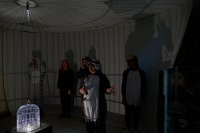 Zur_Aze-71126