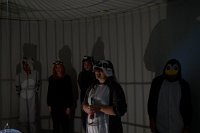 Zur_Aze-71127