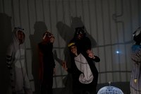 Zur_Aze-71131