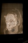 Zur_Aze-71163