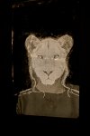 Zur_Aze-71166