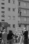 horizon-38137