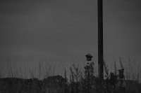 rail-147049