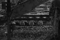 rail-9349