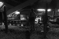 rail-9358