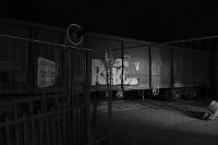 rail-9809