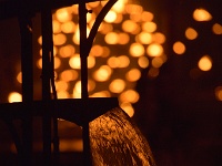 carabosse-111129