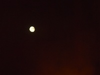carabosse-111186