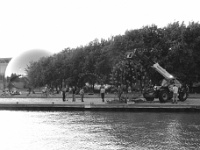 carabosse-133468