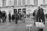 manif-17692