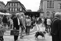 alhen-132254