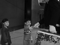 seoul-55799