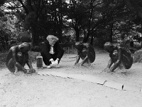 seoul-56155