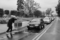 swidnik-55886
