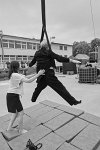 swidnik-56901