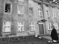 zkk-101517