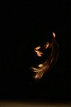 osteorock-26294