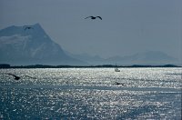 capnord0361