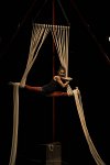 trepied-17382