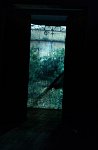 Zzz2002_14363