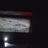 Zur_proch_calais-102860-