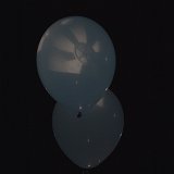 Zur_proch_calais-102911-