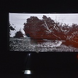 Zur_proch_calais-103126