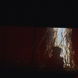 Zur_proch_calais-103516