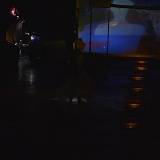 Zur_proch_calais-103587