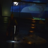 Zur_proch_calais-103589