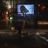 Zur_proch_calais-103618