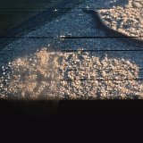 Zur_proch_calais-103942