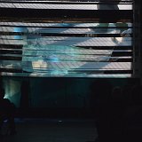 Zur_proch_calais-103975